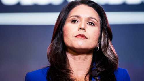 gabbard-nsa
